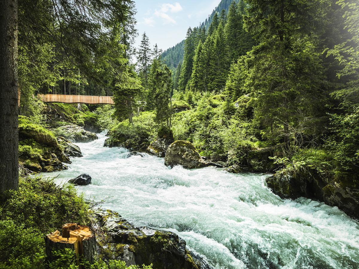 Haus Alpenchalet Lägenhet Neustift im Stubaital Exteriör bild