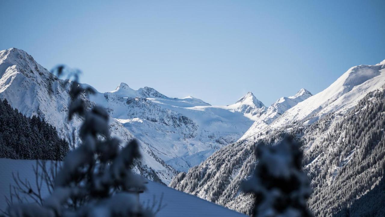 Haus Alpenchalet Lägenhet Neustift im Stubaital Exteriör bild